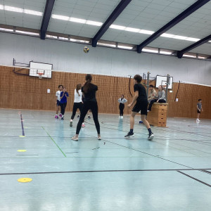 volleyball 9 2502